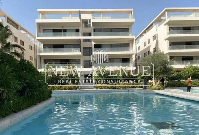 8466384 - Property Image 2