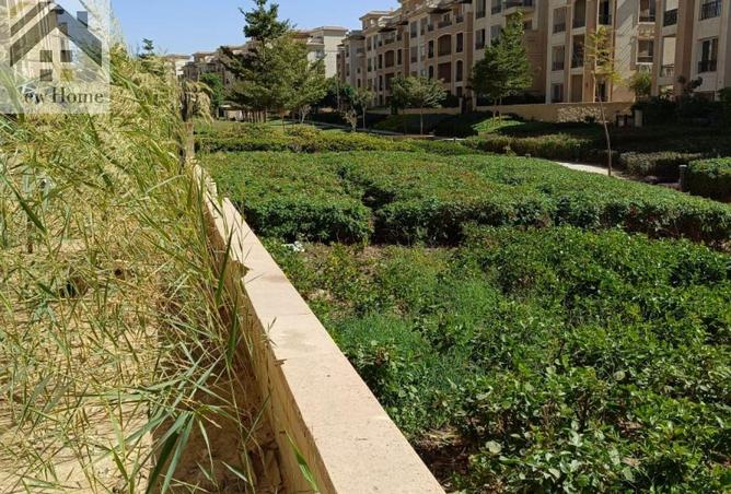 8503076 - الصورة الرئيسية للعقار