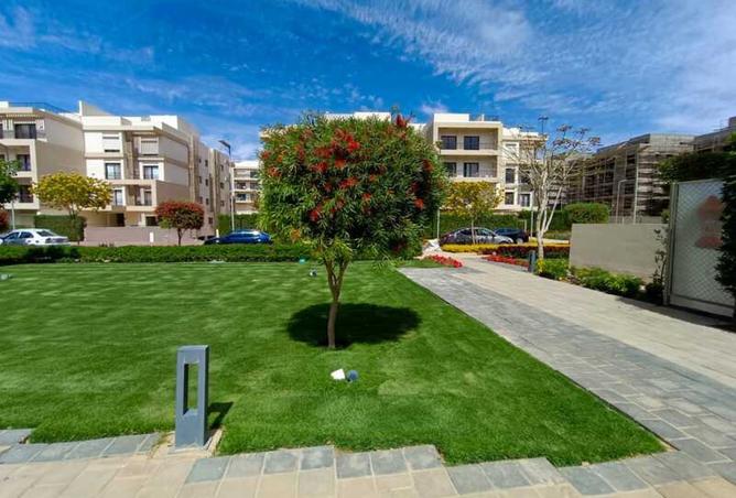 7930264 - Property Image 3