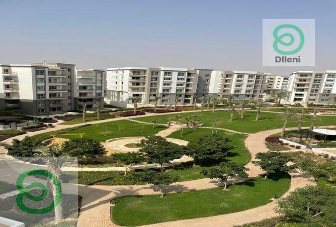 8091852 - Property Image 3