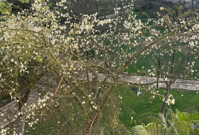 8302153 - صورة العقار 2