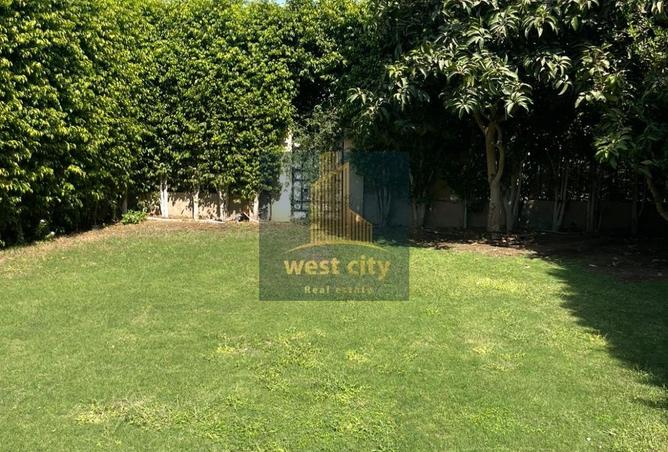 8224035 - صورة العقار 2