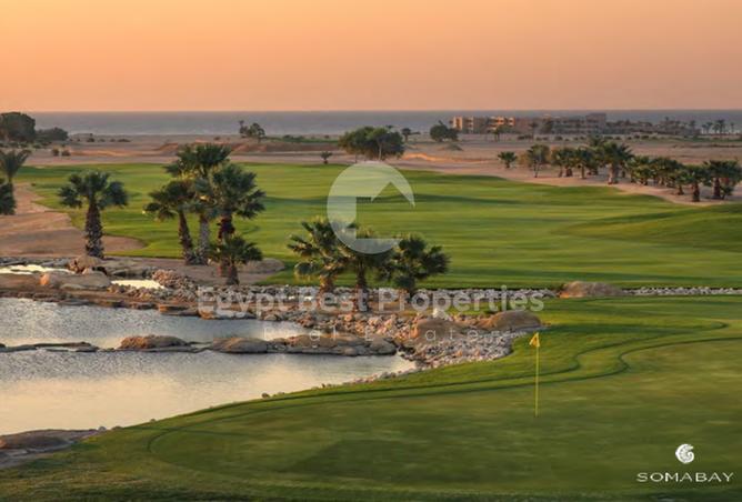 7983567 - Property Image 3