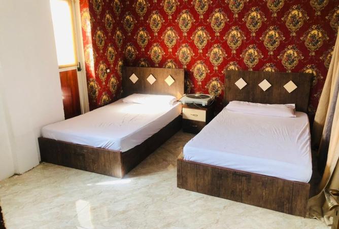 8434565 - Property Image 3