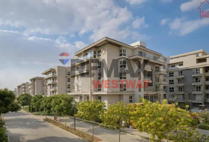 8383759 - Property Image 3