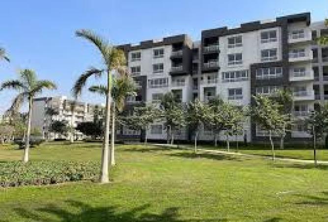 8276594 - Property Image 3