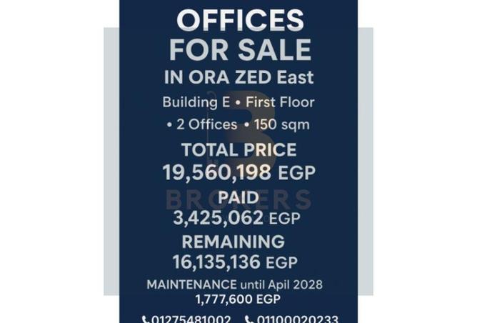 8176770 - صورة العقار 3