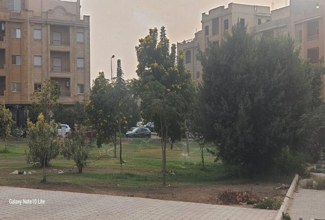 8403899 - Property Image 3