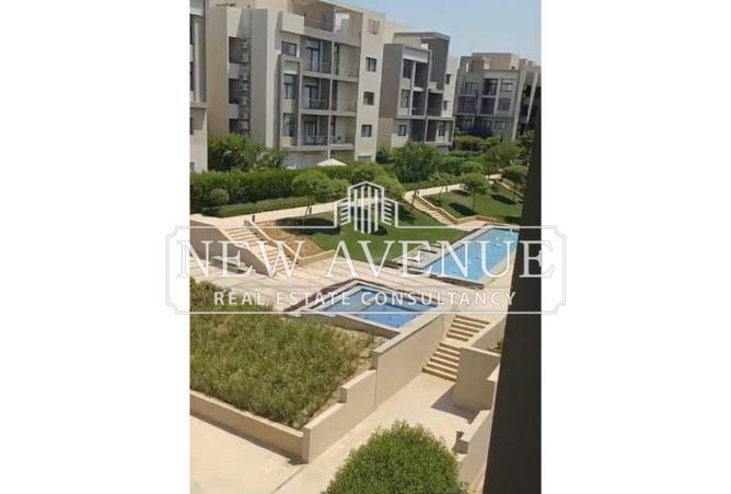 8397667 - Property Image 2