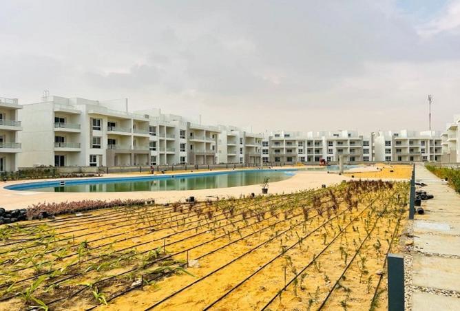 8428330 - Property Image 3