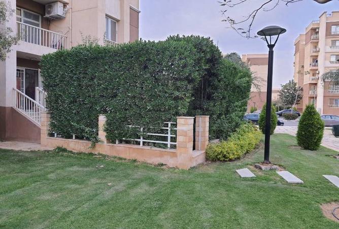 7998207 - صورة العقار 2