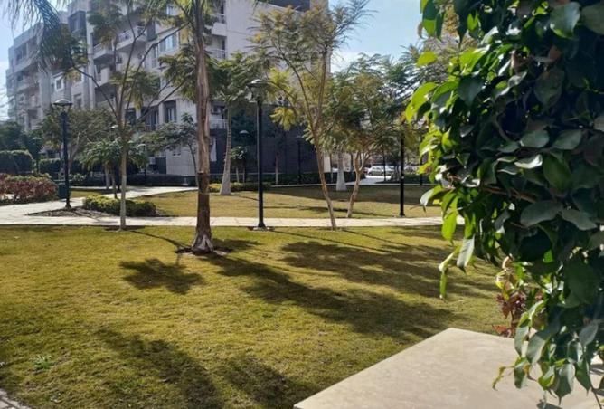 8259811 - صورة العقار 2