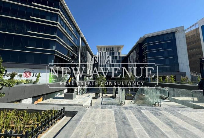 8381032 - Property Image 3