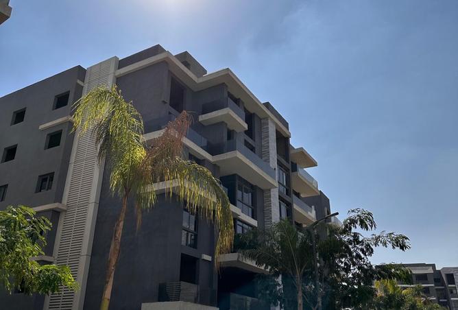 8201853 - Property Image 3