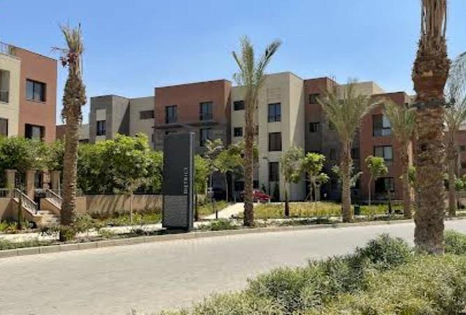 8008779 - صورة العقار 3