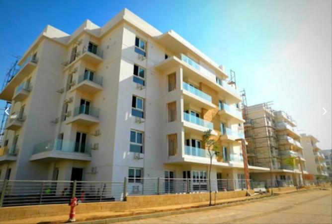 7976687 - Property Image 3