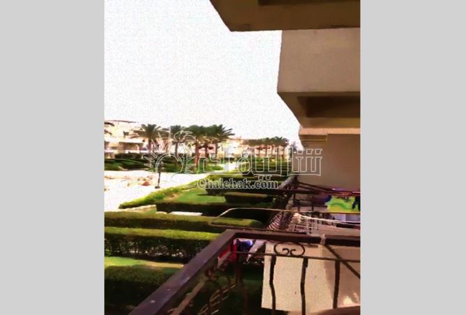 8031634 - صورة العقار 3