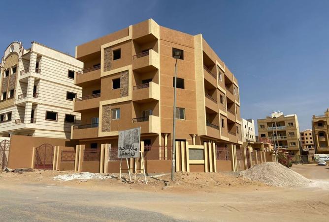 8278629 - Property Image 3