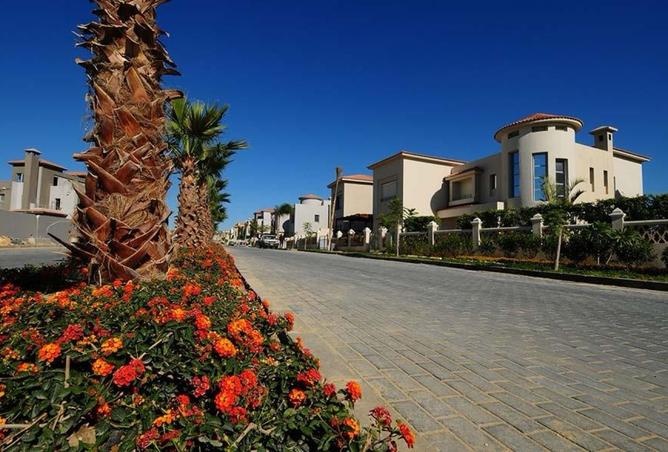 8098060 - الصورة الرئيسية للعقار