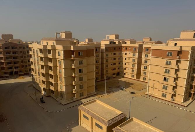 8008241 - صورة العقار 3