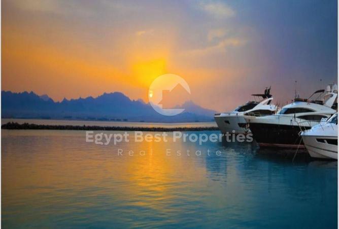 7905772 - صورة العقار 3