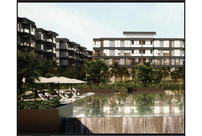 7997485 - Property Image 3