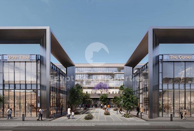 8452004 - Property Image 3