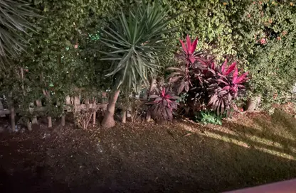 Apartment - 2 Bedrooms - 1 Bathroom for rent in El Rehab Extension - Al Rehab - New Cairo City - Cairo