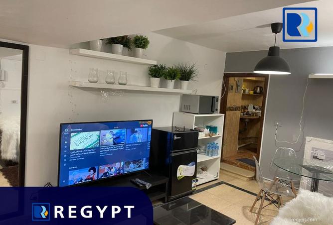 8166392 - Property Image 3