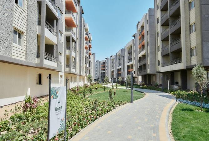 8392741 - صورة العقار 3