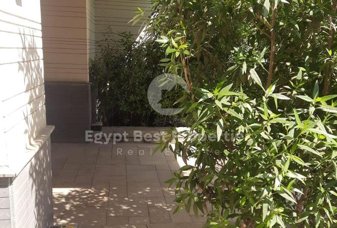 8118656 - Property Image 3