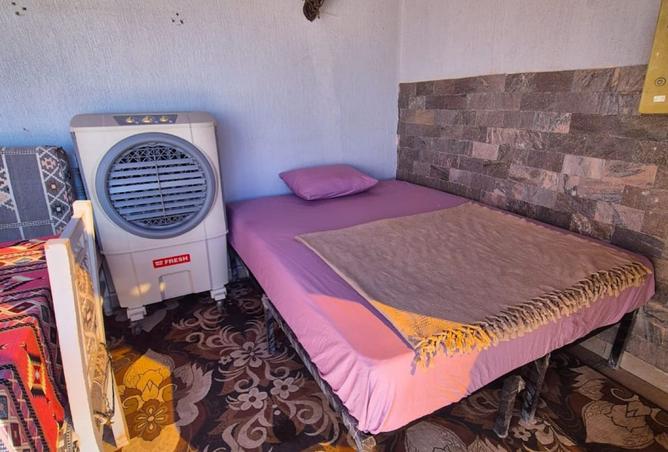 8449865 - Property Image 3