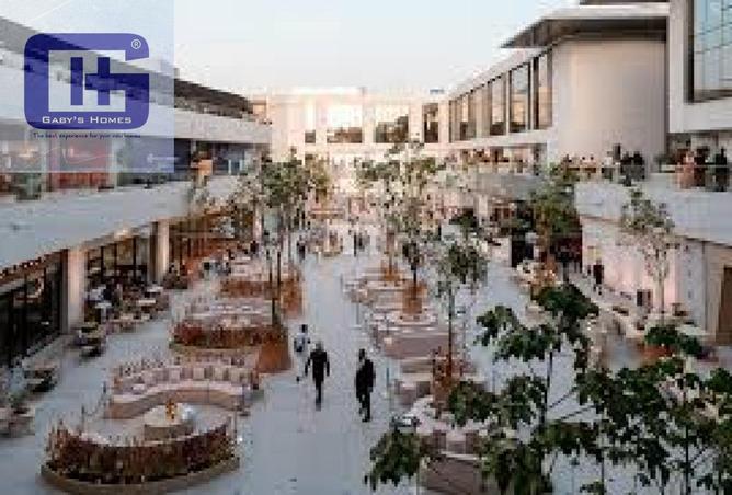 8384998 - Property Image 2