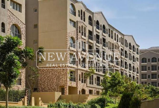 8242236 - صورة العقار 3