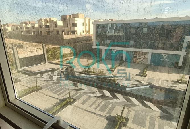 8233376 - Property Image 2