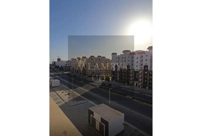 8175246 - Property Image 3