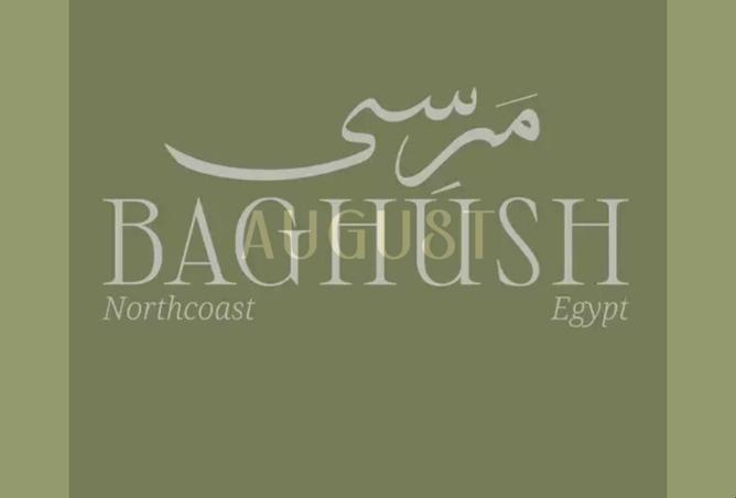 8030565 - صورة العقار 2