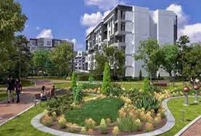 8015905 - Property Image 2