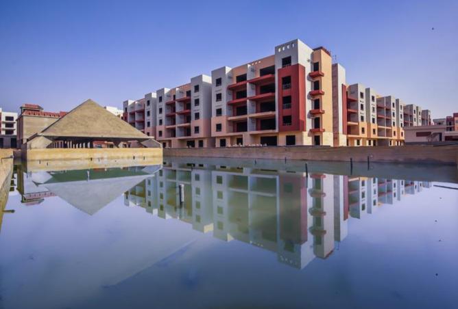 7905809 - صورة العقار 3