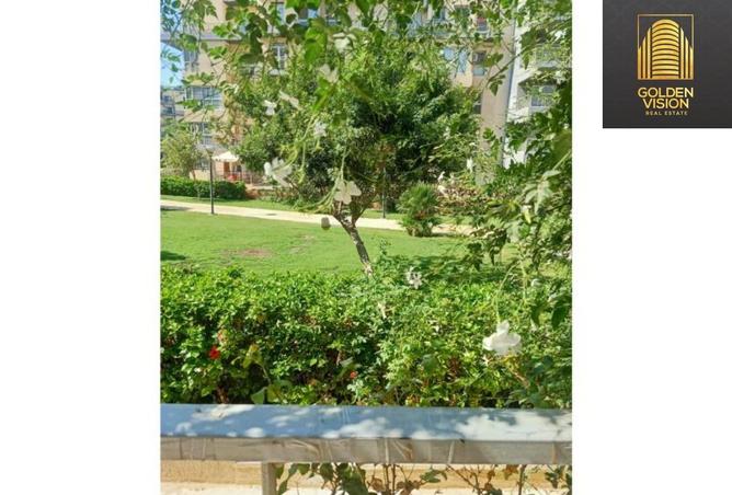 8164047 - Property Image 2