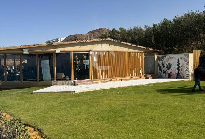 8391398 - Property Image 3