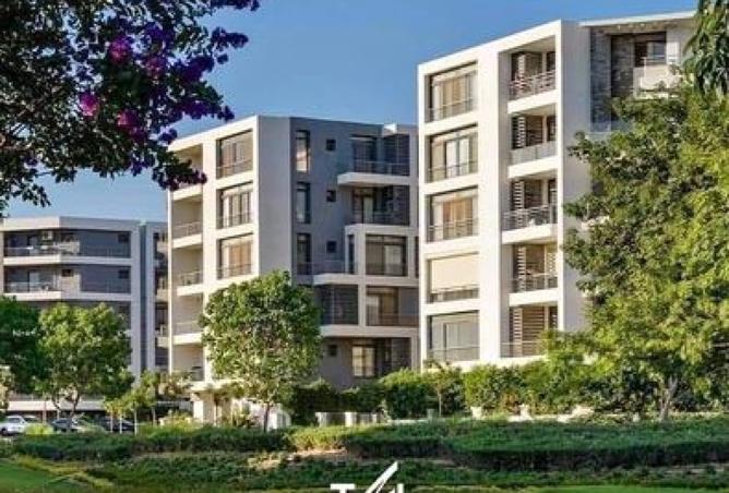 8490957 - Property Image 3