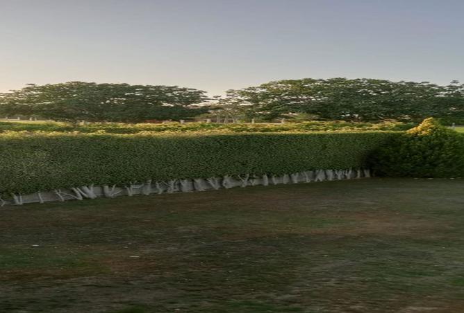 8327884 - Property Image 3