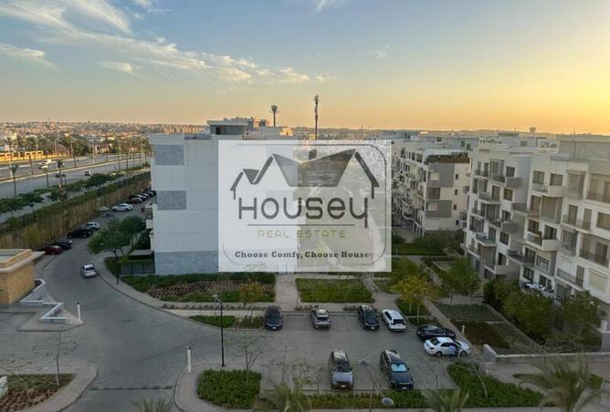 8260295 - Property Image 3