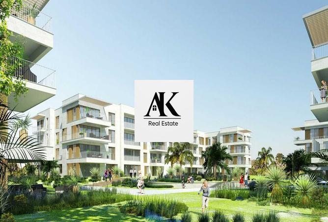 8151666 - Property Image 3