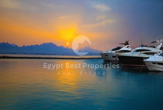 7983135 - Property Image 3