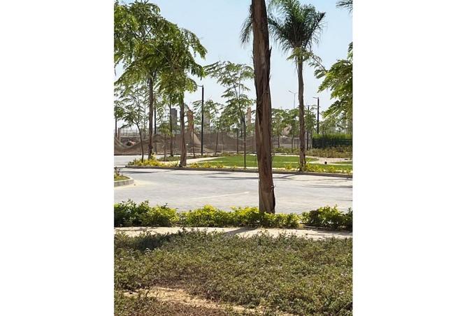 8359348 - Property Image 3