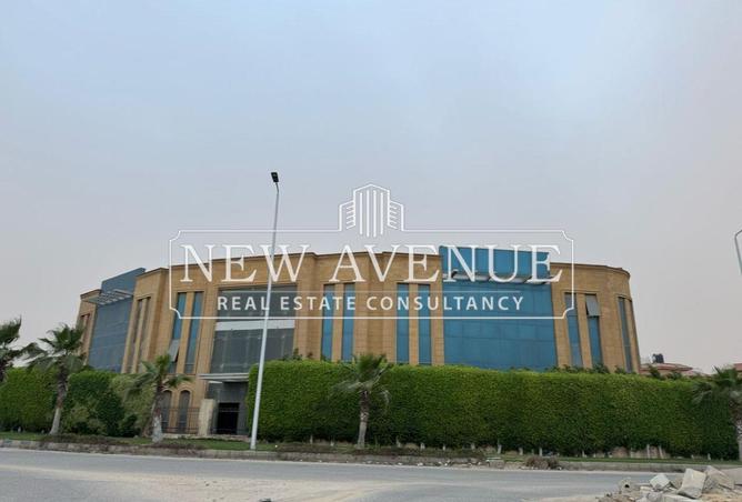 8278398 - صورة العقار 2