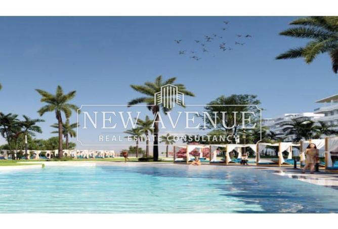 8198184 - صورة العقار 3