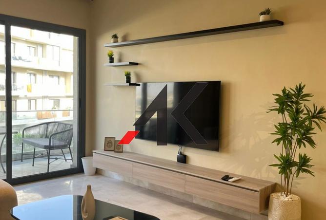 8503439 - Property Image 3